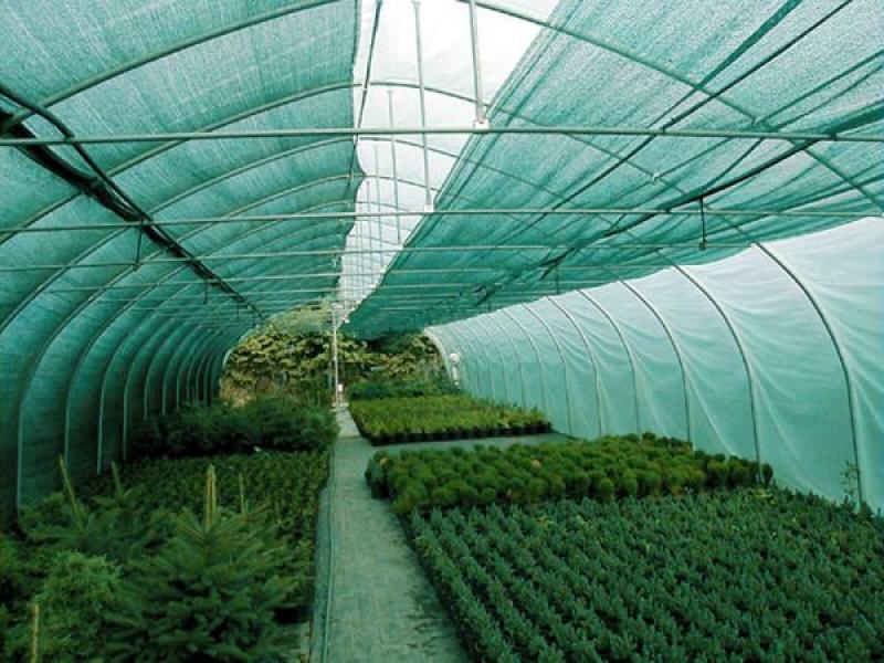 Methods for protecting plants in greenhouses from overheating