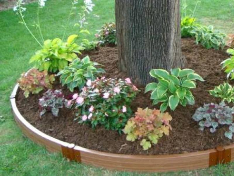 Ideas for arranging around a tree: a flower bed, a bench, a table and even a gazebo!